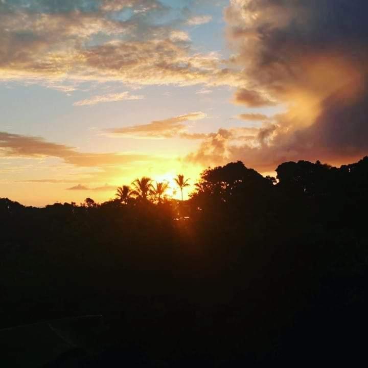 Novos Baianos Hostel E Pousada Porto Seguro Exterior foto Sunset in the rainforest